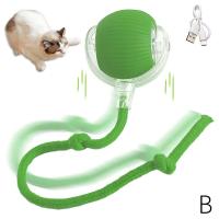 Juguete Interactivo Para Gatos Y Perros Bola Eléctrica Automática Recargable Imitación De Rata Entrenamiento Inteligente - details 18