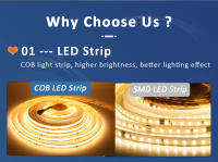 Tira De LED COB WS2811 24V 5M 10M 20M Flexible Para Decoración De Habitaciones Luz De Caballo Carrilnea Sin Impermeable - details 2