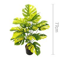 Bonsái Simulado De Hoja Grande Ornamento De Maceta Planta Artificial Hyphosis Para Decoración De Oficina Y Hogar Estilo Tortuga - details 13