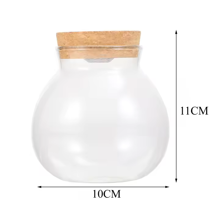 Kit Grande De Terrario En Botella Ecológico Micro Juego De Plantas Y Rios Para Decoración Del Hogar Y Cultivo De Plantas En Vaso De Vidrio Con Moss Y Tanque De Peces - 1