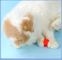 Pistola De Juguete Para Mascotas Con Bolas De Peluche Y Ping Pong Autoalivio Para Gatos Y Perros Juguete Interactivo Para Estimular El Interés De Caza - details 7
