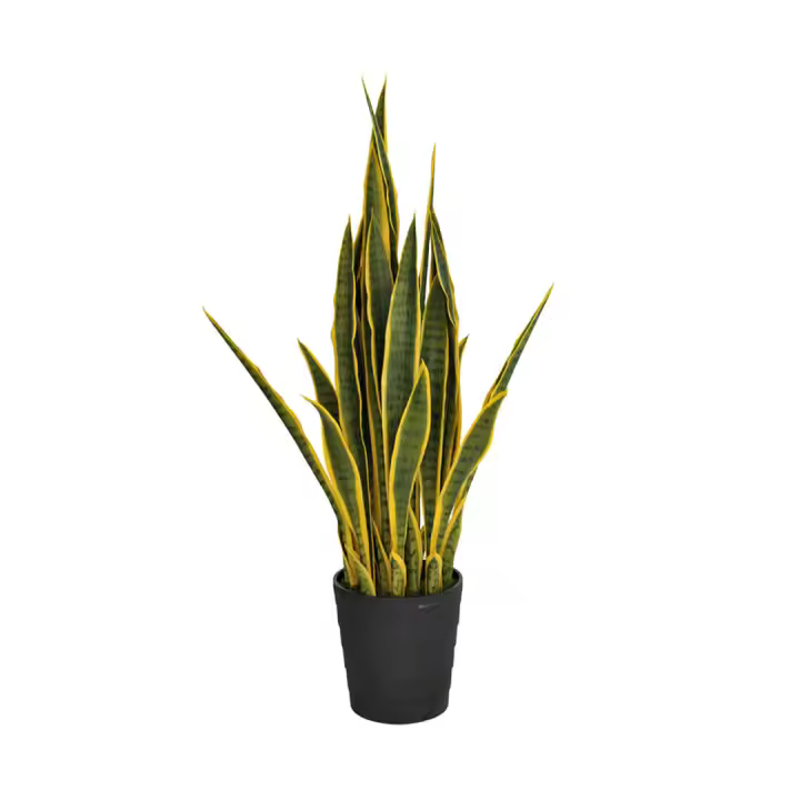 Nortene | Planta Artificial Lengua De Tigre 105 Cm Bicolor | Plantas Artificiales Realistas | Decoración Para Hogar Y Oficina | Planta Artificial Grande | Perfecta Para Ambientes Modernos - 1