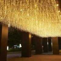 Luces De Hielo LED Para Jardín Y Fiestas Decoración De Navidad Guirnalda De Luces De Encaje 5M 0.4-0.6m 110V 220V Para Bodas Y Cumpleaños - details 12