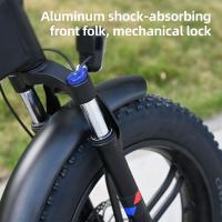 Bicicleta Eléctrica Plegable Adulto ENGWE Engine X 20*4.0 pulgadas Neumáticos gordos Chaoyang todoterreno Motor 250W batería de bicicleta eléctrica 48v 13Ah Velocidad máxima 25 km/h Autonomía de 100 km Freno de disco dual Carga máxima 150 kg - Negro - details 10