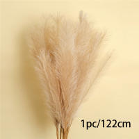 1Pcs Decoración De Pampas Falsa Pluma De Grama Artificial Phragmites Australis Decoraciones De Vaso Plantas Falsas De Juncos Eterna Flor Silken Para Adornos Del Hogar - details 3