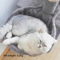 1pc Nido De Gato Con Cuchara Accesorios Para Gatos Hamaca De Plush Diseño De Marco Para Gatos Compra Por Pieza - details 1