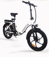Bicicleta Eléctrica Plegable AVAKA BZ20 Plus 20 pulgadas 48V18.2Ah - Motor 500W-Brake de Disco Doble - Rueda Grasa 3,0 "-Bathería Extraible-Pantalla LCD - details 21