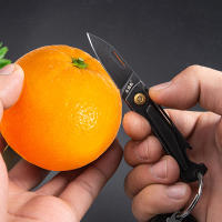 Cuchillo Plegable SANRENMU 431S Mini EDC Portátil Cuchillo De Bolsillo Con Abrigo De Botella Y Llavero Hoja De Acero Inoxidable 12C27 - details 18