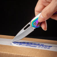 Cuchillo Plegable De Acero Inoxidable Para Exteriores Portátil Para Acampar Y BBQ Multipropósito Cuchillo Para Carne Y Frutas - details 4