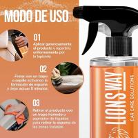 LIONSWAY - Limpiador Profesional de Tapicería para Coche y Textiles 5 Litros. Limpieza Rápida, Efectiva y Profunda. Asientos y Alfombrillas. Incluye Pulverizador y Cepillo. - details 2