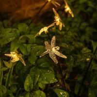 Luces Solares De Libélula Para Jardín 6LED Impermeables Con Palito Para Decoración De Camino Patio Exterior Arte Deco - details 2