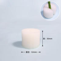 100PCS Jarrones De Cultivo Sin Tierra Con Esponja Para Plantas Herramientas De Jardinería Accesorios Para Vegetales Y Flores - details 3