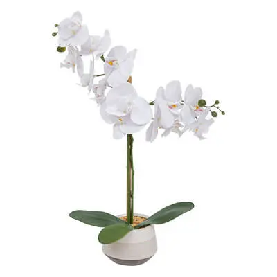Factory Cuadros Orquídea Clera con Maceta Cerámica, 52 Cm Alto - 1