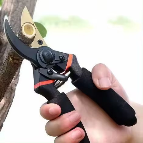 Tijeras de podar para horticultura, podadoras, tijeras para arbustos, tijeras para jardín, tijeras para ramas, tijeras para podar huertos, sierra plegable - 1