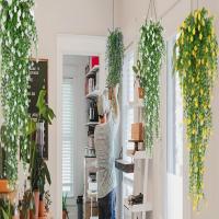 3pcs Plantas Colgantes Artificiales Falso Eucalipto Hojas Verdes Vínculo Plástico Resistente Al UV Para Exterior Decoración De Fiesta - details 2