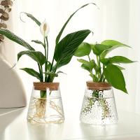Estación De Cría De Plantas En Vaso De Vidrio 1pc Soporte Para Flores Y Vaso De Cultivo Ecológico Para Escritorio Decoración De Oficina Y Hogar - details 1