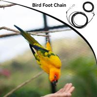 Correa De Entrenamiento Para Pájaros Parrot Con Cadena Antipatada Tamaño 6 Pies Material Resistente Para Exteriores Suministros Para Pájaros - details 3