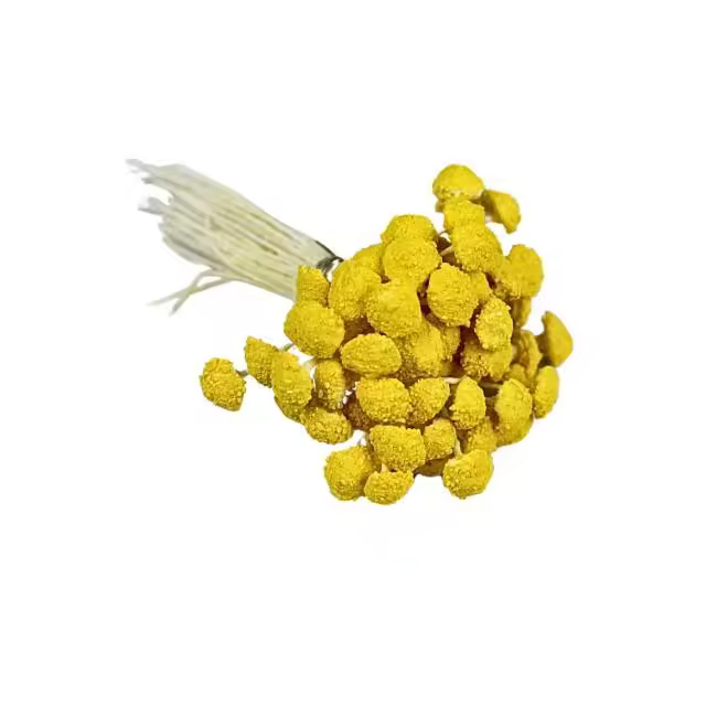 Pistilo Margarita Amarillo - Herramienta Culinaria Decoración Postres - 1