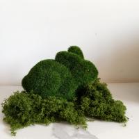 Estatua De Conejo Verde De Pascua Para Jardín Decoración De Fiesta Familiar Figura De Animales Hecha De Fibra Vegetal - details 6