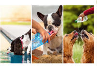 Tumbler Para Mascotas Perro Vaso De Caminar Botella De Agua Portátil Para Viajes Al Aire Libre Fuente De Agua Para Gatos Suministros De Agua Para Perros Y Gatos - details 1
