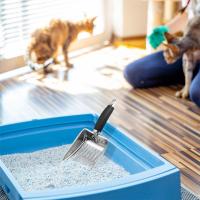 Herramienta De Limpieza Para Gatos Y Perros Cuchara De Arena Para Mascotas Longitud De Manija Ajustable Material Metálico - details 8