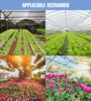 Lámpara De Crecimiento LED Para Plantas Con Espectro Completo Phytolamp Para Semillas De Flores Cultivo De Hidroponía En Invernadero Y Tienda De Vegetales - details 12