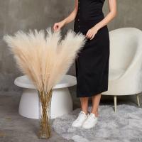 90/120cm Pampas Artificial En Broche Flor Artificial Para Decoración De Habitaciones Jardín Boda Exterior Simulación De Planta De Rama - details 3