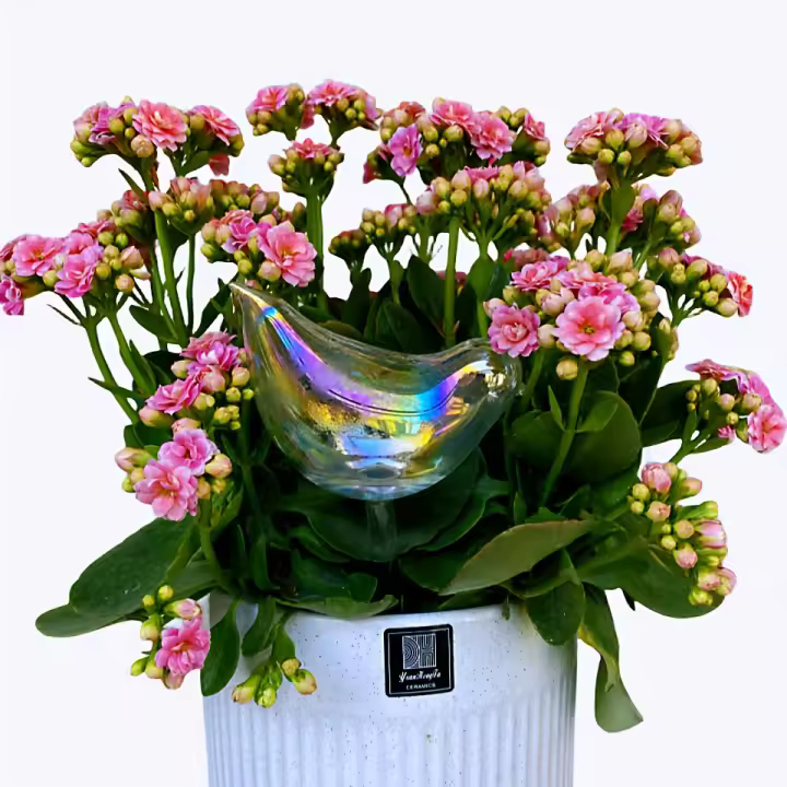 Dispositivo De Rociado Automático Para Plantas 1 Pieza Artificio Creativo Para Riego De Vidrio De Pájaros Dispositivo De Drip De Agua - 1