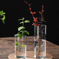 Vaso De Flor De Vidrio Transparente Pequeño Moderno Para Centro De Mesa Bodas Oficinas Y Hogar Vaso Cilíndrico Para Flores - details 7