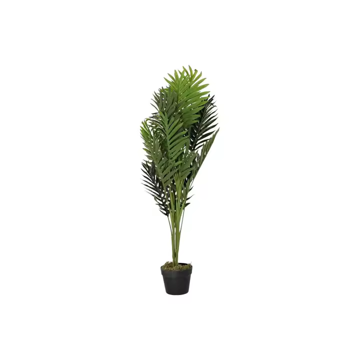 Planta Pe 40X40X100 Palmera Verde El mejor complemento para tu hogar  -Fijalo- - 1