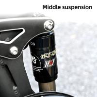 Bicicleta Eléctrica Plegable Adulto ENGWE Engine X 20*4.0 pulgadas Neumáticos gordos Chaoyang todoterreno Motor 250W batería de bicicleta eléctrica 48v 13Ah Velocidad máxima 25 km/h Autonomía de 100 km Freno de disco dual Carga máxima 150 kg - Negro - details 14