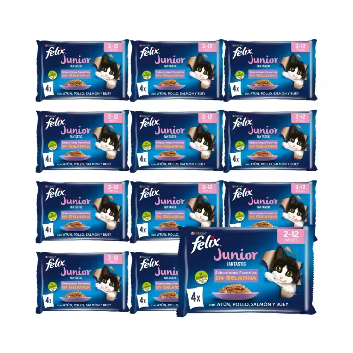 FELIX - Fantastic Junior (48x85 gr) - Comida Húmeda para Gatitos (Buey, Pollo, Salmón y Atún) (12x4x85 gr) - 1