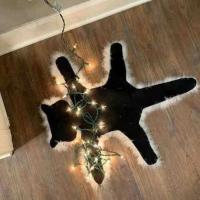 Alfombra De Navidad Divertida Con Luz De Gato Frito Decoración De Piso Tamaño Estándar Material De Tela Alfombra De Fiesta De Navidad - details 1