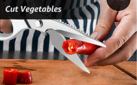 Tijeras De Cocina Multifuncionales De Acero Inoxidable Fila De Alimentos Para Pollo Vegetales Barbacoa Carne Pescado Herramienta Afilada - details 2