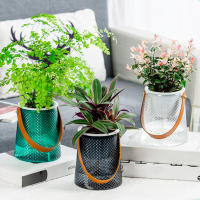 Macetas De Hidroponía Con Manija De Gran Capacidad Para Amantes Del Jardín Regalo Para Enthusiast De Las Plantas - details 0