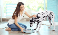 Juguetededucational para Perros, rompecabezas para Bocadillos para Perros, Juguetedeductional comida para Perros, ulizado para entrenamiento de coeficiente inteltual y desarrollo de Intel - details 0