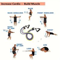 Set De 11 Bandas De Resistencia TPE Con Anclaje De Puerta Manijas Bolsa De Transporte Y Tirantes Para Piernas Y Tobillos Para Ejercicios De Fortalecimiento Muscular Unisex - details 6