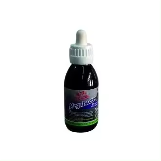 antifúngico y antibacteriano MEGABACTER LEGAZIN 120 ml. - 1