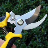 Tijeras De Jardín Profesionales Para Podar Ramas Y Frutas Herramienta De Podar De Uso Doméstico Y Duraderas Para Jardinería - details 6