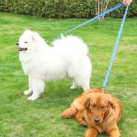 Correa De Nylon Para Perros Pequeños 2.5cm Estilo Policía Control De Mano Libre Para Caminar Y Entrenamiento Seguridad De Cadena Para Mascotas - details 3