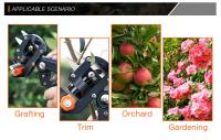 Tijeras De Podar Profesionales Para Jardín Herramienta Manual Para Frutas Y Árboles Cuchillo De Corte De Lujo Grafito Herramienta De Jardinería - details 3