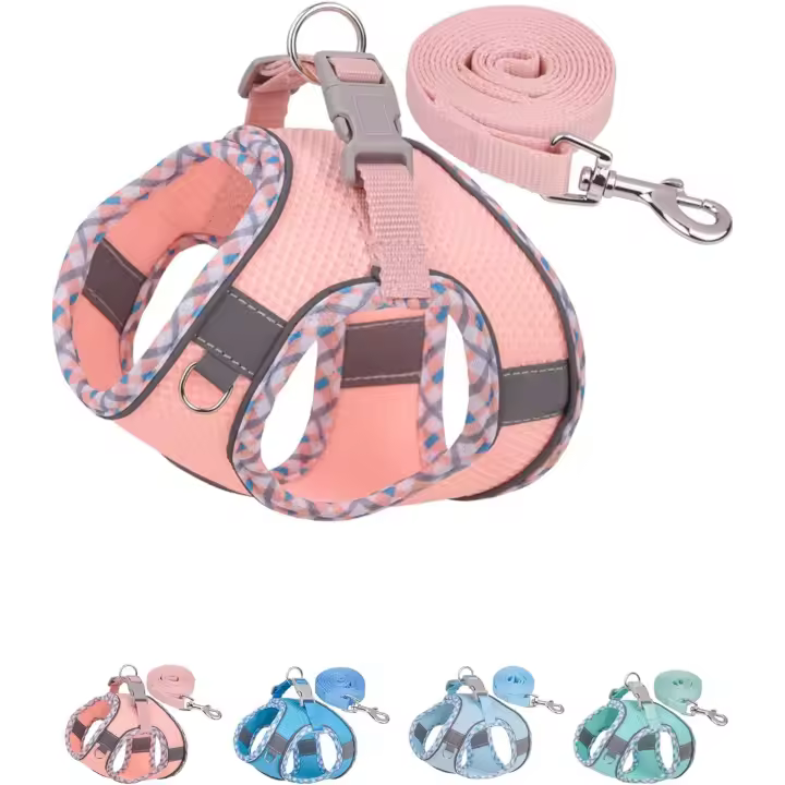 Arnés para Perros Pequeños y medianos que no Tira, arnés y Correa para Perros fácil de caminar (Rosa, S) - 1