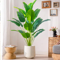 Planta Artificial De Palma Tropical Grande Hojas De Plátano Falso 24 Hojas Toque Real Strelitzia Reginae Para Jardín Interior 65-120 Cm - details 2