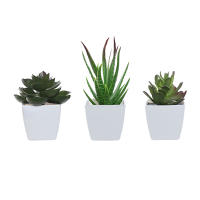 Set De 3 Plantas Miniatura En Macetas Simuladas Para Decoración De Hogares Restaurante Mesas Ventanas Y Estantes Material Plástico Estilo Bonsái - details 21
