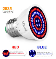 Lámpara De Crecimiento Para Plantas LED E27 Espectro Completo Foco Para Cultivo En Invernadero Y Tentación Hidroponía Con Varias Quantidades De LEDs 48/60/80/126/200/300 - details 12
