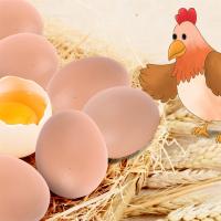 6pcs Huevos De Plástico Para Casa De Pollo Pequeños Accesorios Para Jaulas De Animales De Granja Suministros De Cerdos Y Peces - details 5