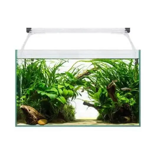 ICA Aqualight KALI50 41 Litros - Acuario con Iluminación LED y Diseño Moderno - 1