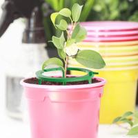 Hydro Halo Anillo De Agua Automático Drip Irrigación Multi Salida Para Riego De Plantas Y Flores Herramientas De Jardinería - details 9
