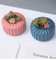 Maceta Creativa Para Suculentas Y Plantas Verdes En Plástico Grueso Decoración Para Mesa De Sala Jardín Hogar Estilo Europeo Pequeña - details 4