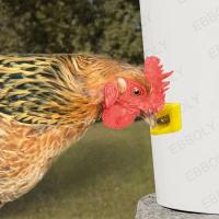 Dispensador De Agua Automático Para Pollos 10-50pcs Fácil Instalación Y No Propenso a Fugas Equipamiento De Cría De Pájaros Material Plástico - details 3